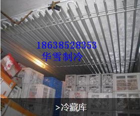 南陽地區冷庫建設需求旺盛，華雪制冷助力產業升級